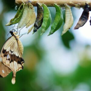 Válás – könnyedén workshop